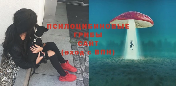 хмурый Алзамай