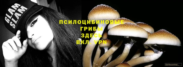 spice Алексеевка