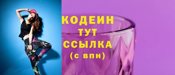 эйфоретик Няндома