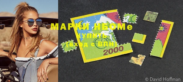 хмурый Алзамай