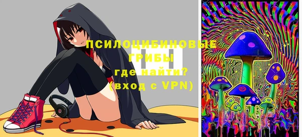 хмурый Алзамай