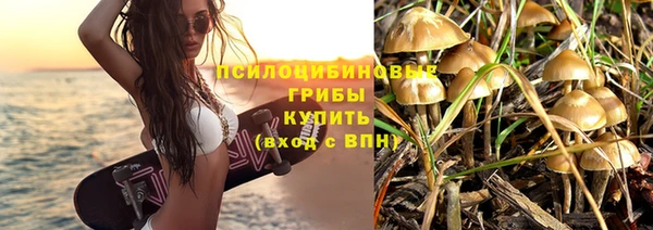 хмурый Алзамай