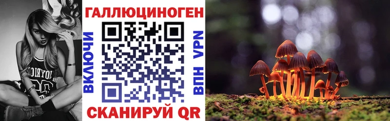 цена наркотик  Суровикино  Псилоцибиновые грибы мицелий 